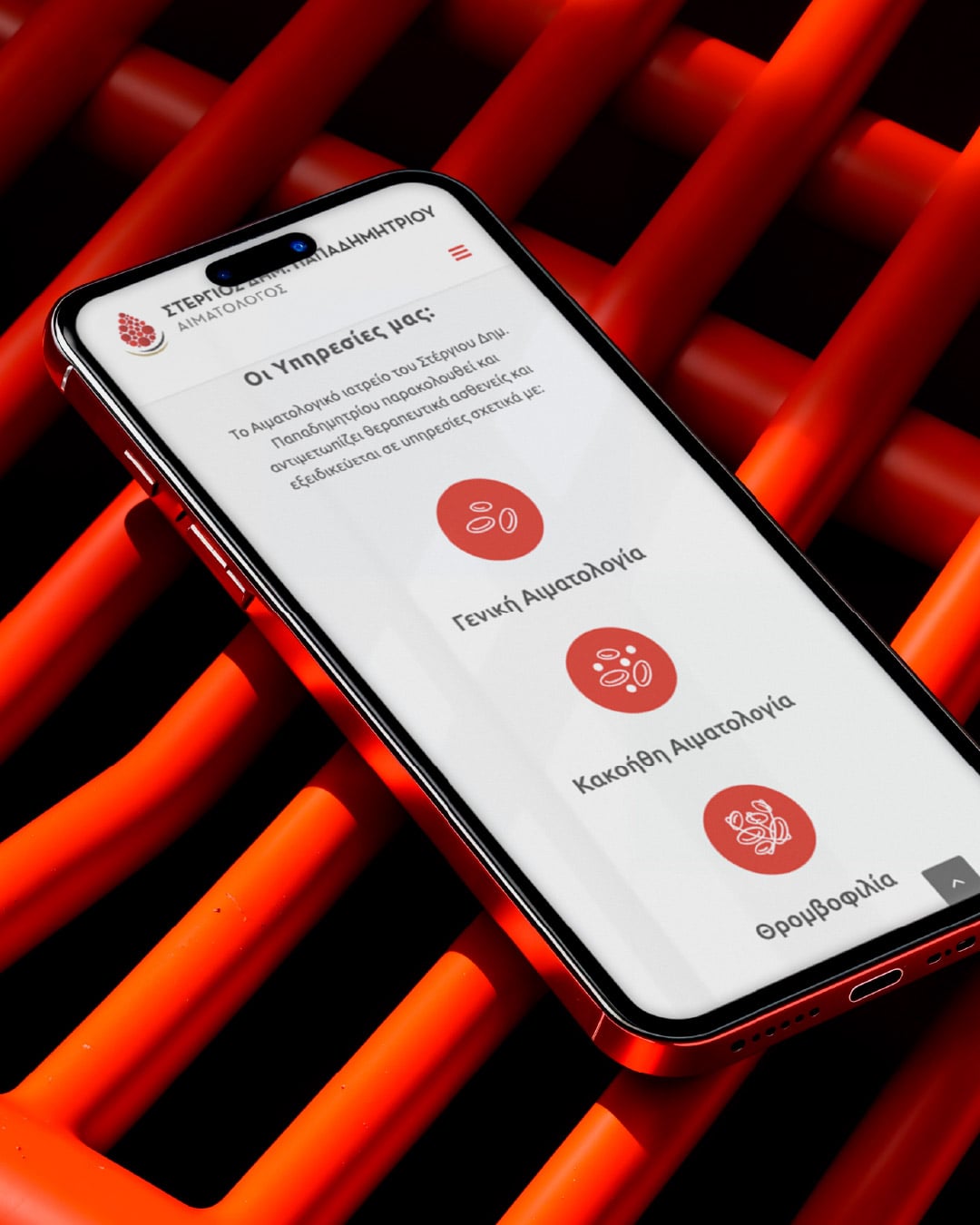 papadimitriou-web-design-projects-digidot-02-min