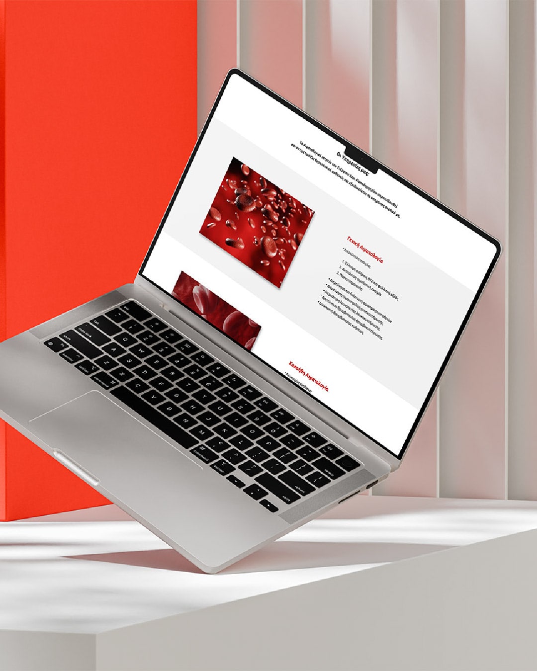 papadimitriou-web-design-projects-digidot-03-min