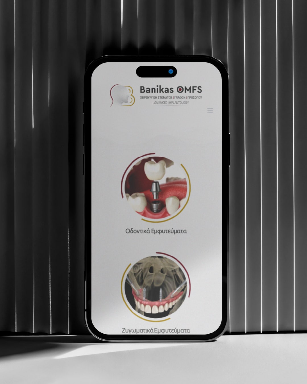 banikas-web-design-projects-digidot-04-min