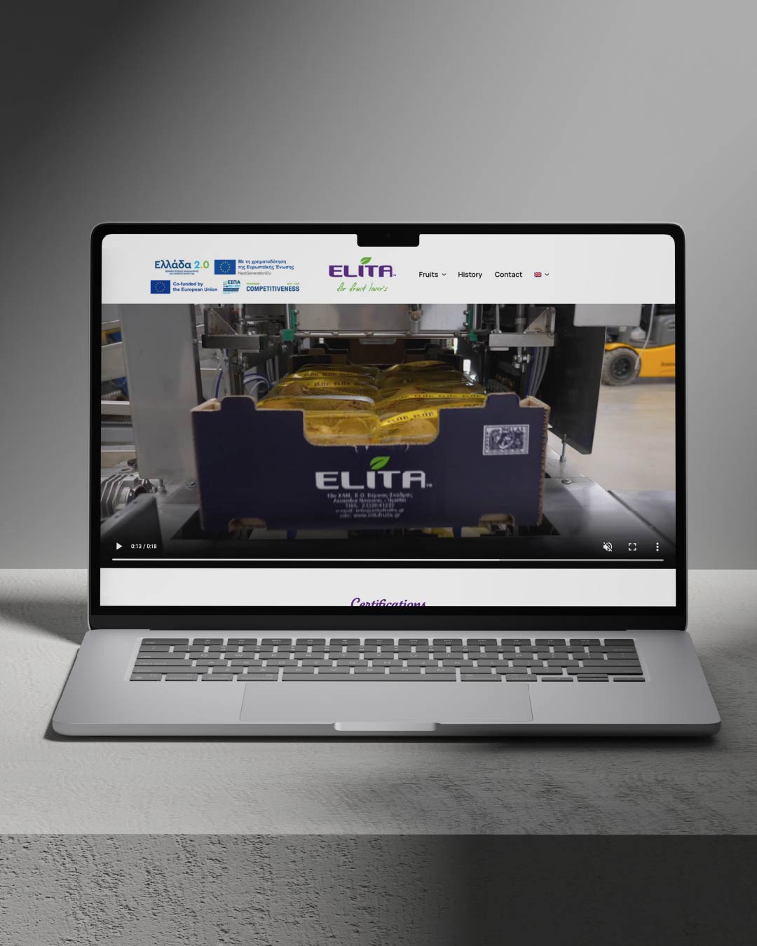 elita-web-design-projects-digidot-01-min