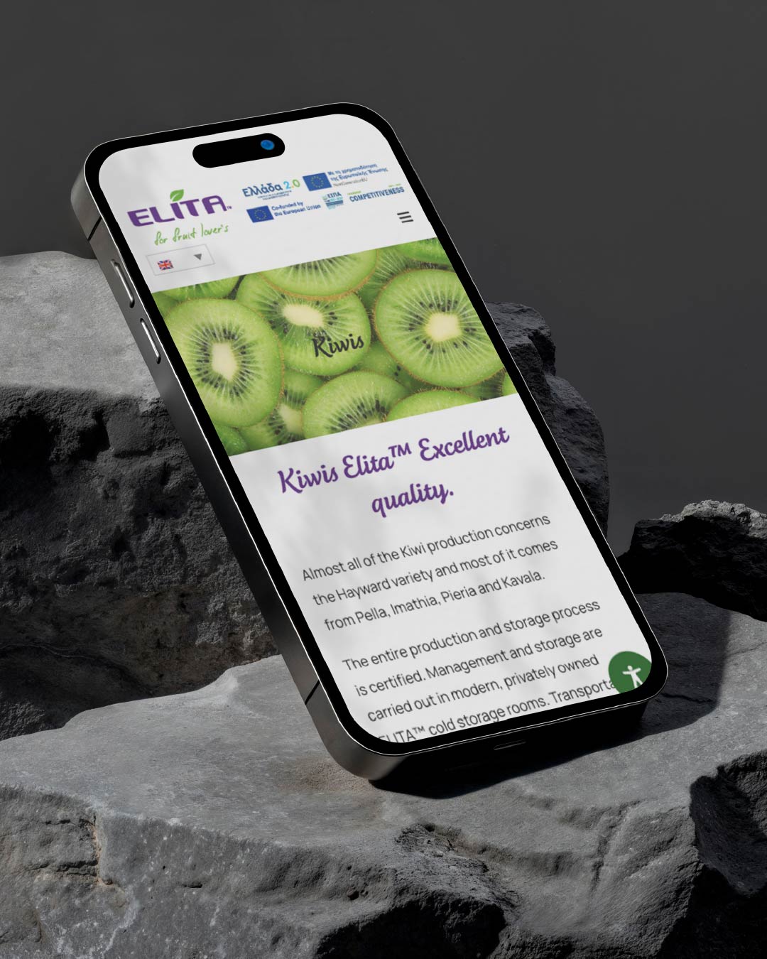 elita-web-design-projects-digidot-02-min