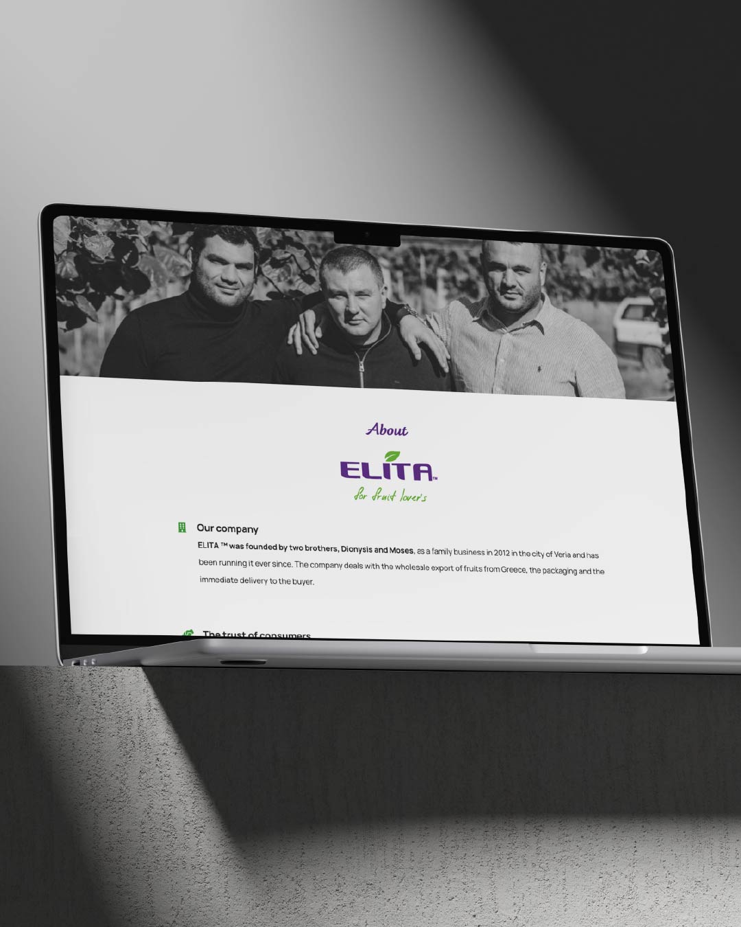 elita-web-design-projects-digidot-03-min