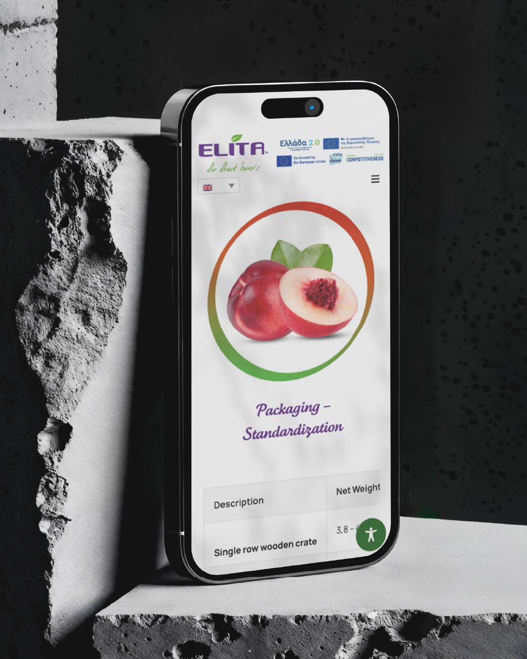 elita-web-design-projects-digidot-04-min