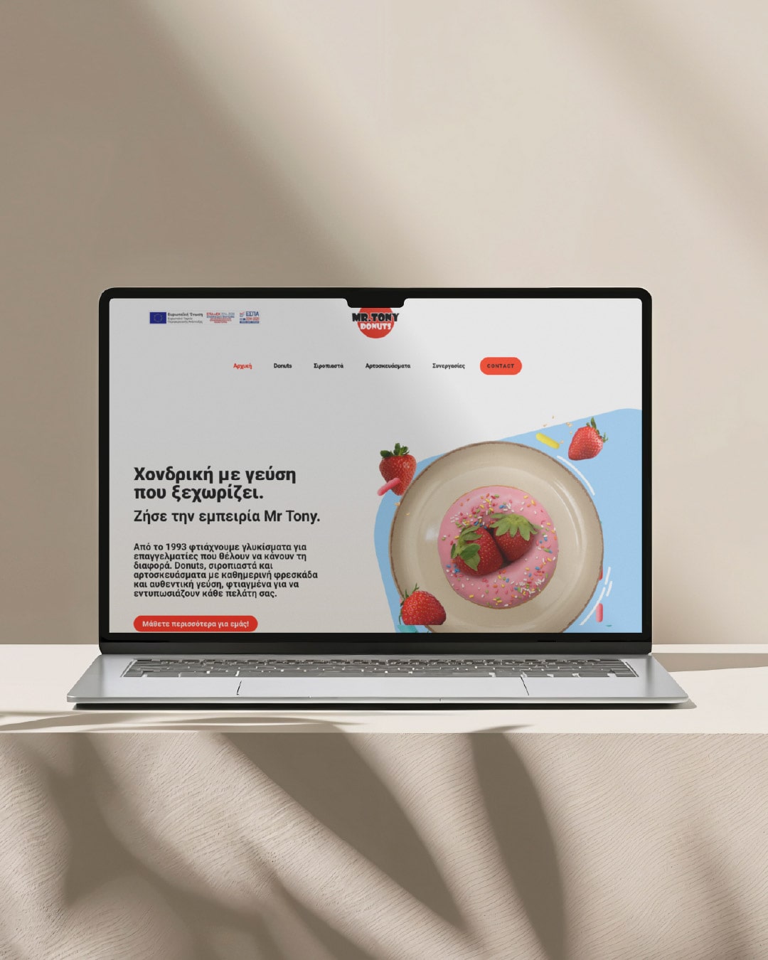 mr-tony-web-design-projects-digidot-01-min