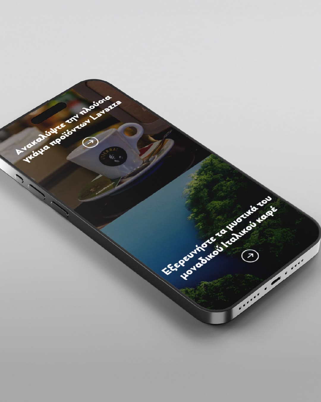 prapas-drinks-web-design-projects-digidot-2