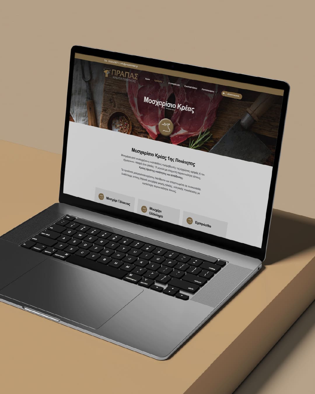 prapas-kreata-web-design-projects-digidot-1