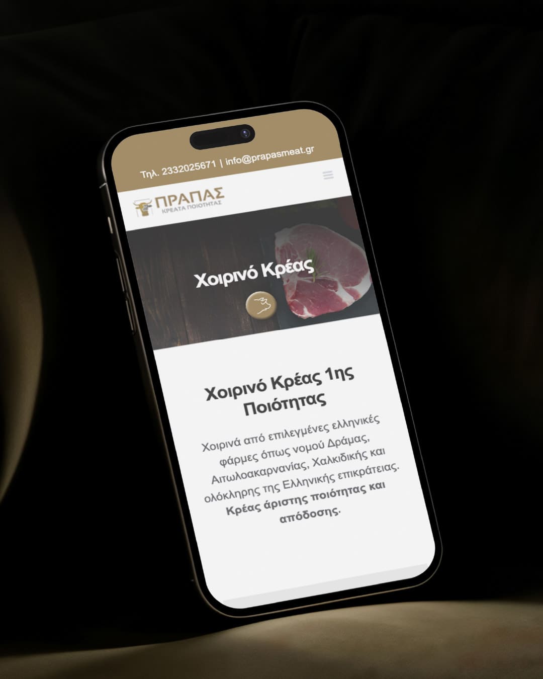 prapas-kreata-web-design-projects-digidot-2