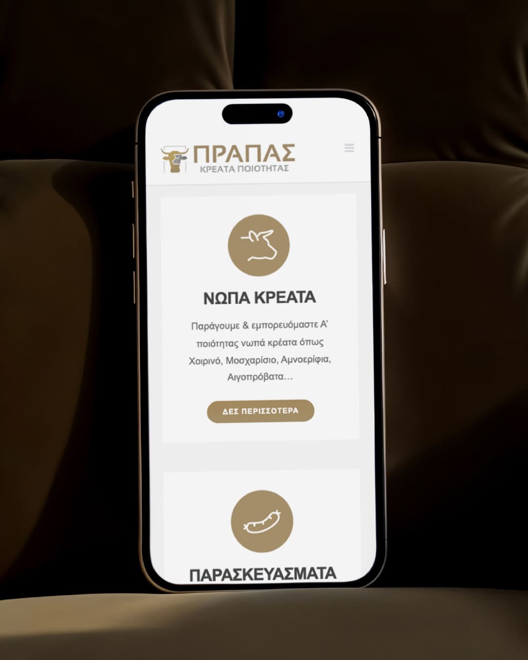 prapas-kreata-web-design-projects-digidot-4